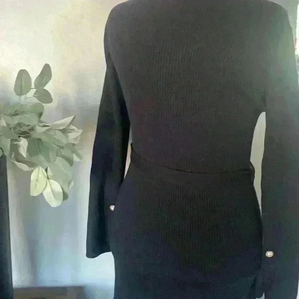 NWOT Caracilia knitted long sleeve dress with high neckline.